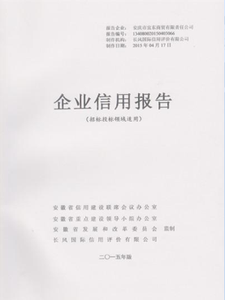 企业信用报告